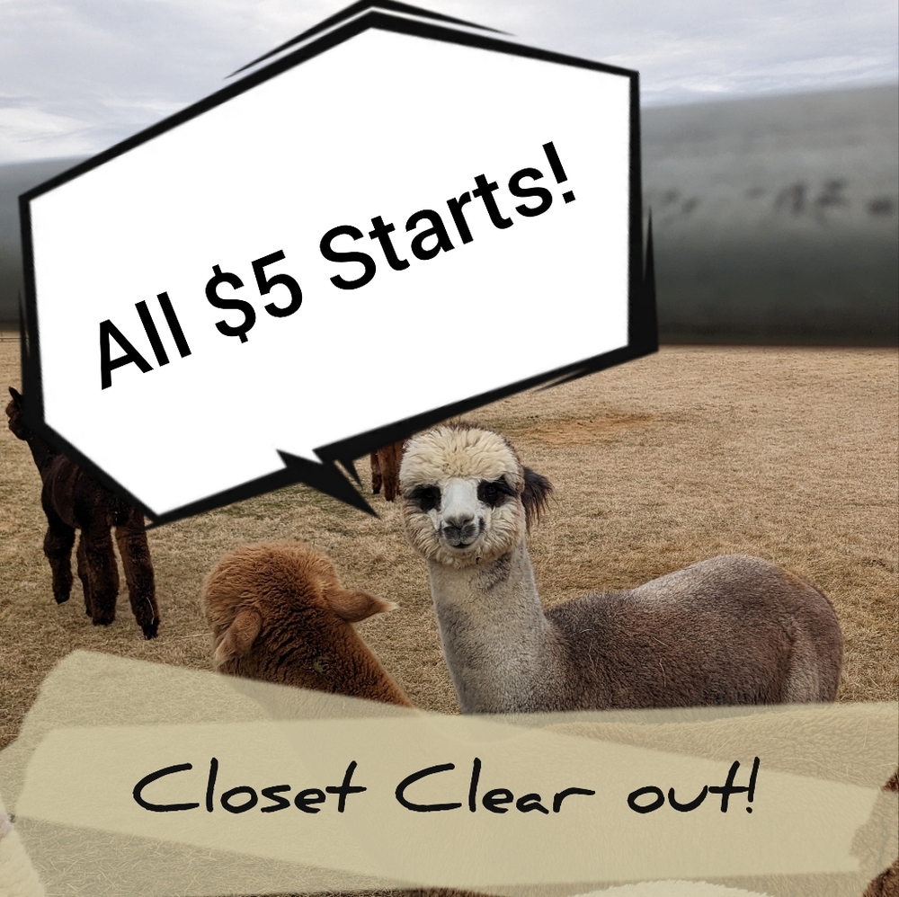 $5 starts live show!